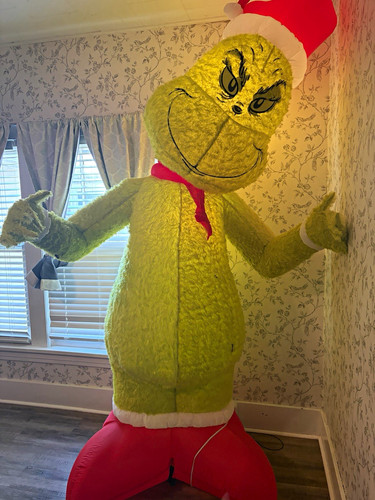 Illuminated grinch christmas - grinch,